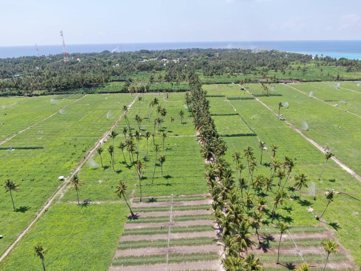 Thila Farm View Ξενοδοχείο Thoddoo Εξωτερικό φωτογραφία