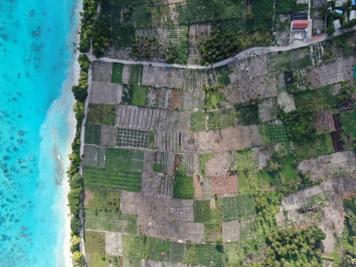 Thila Farm View Ξενοδοχείο Thoddoo Εξωτερικό φωτογραφία